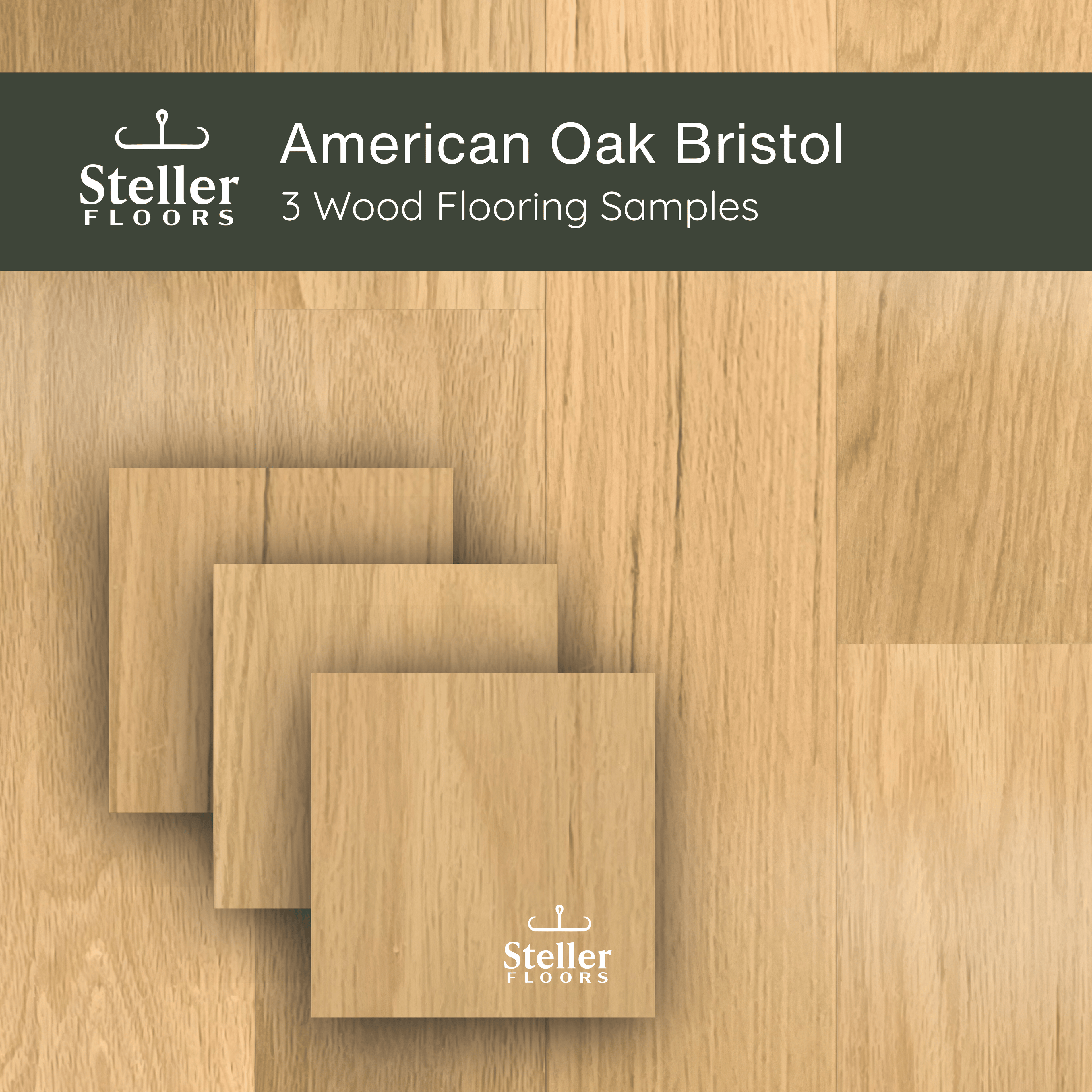 American Oak Bristol by Steller Floors - Sample 3-Pack - Includes Clips & Free Shipping