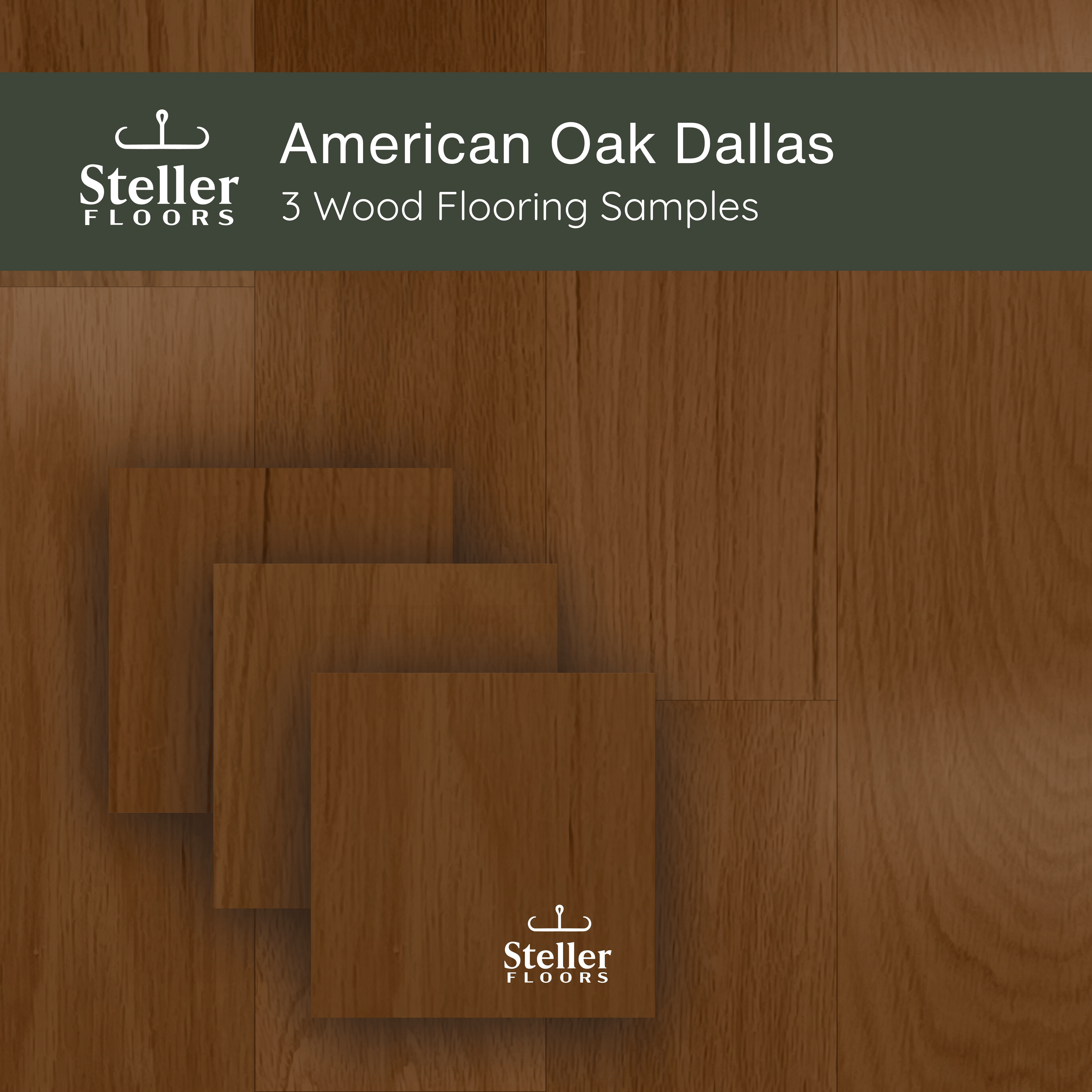 American Oak Dallas by Steller Floors - Sample 3-Pack - Includes Clips & Free Shipping