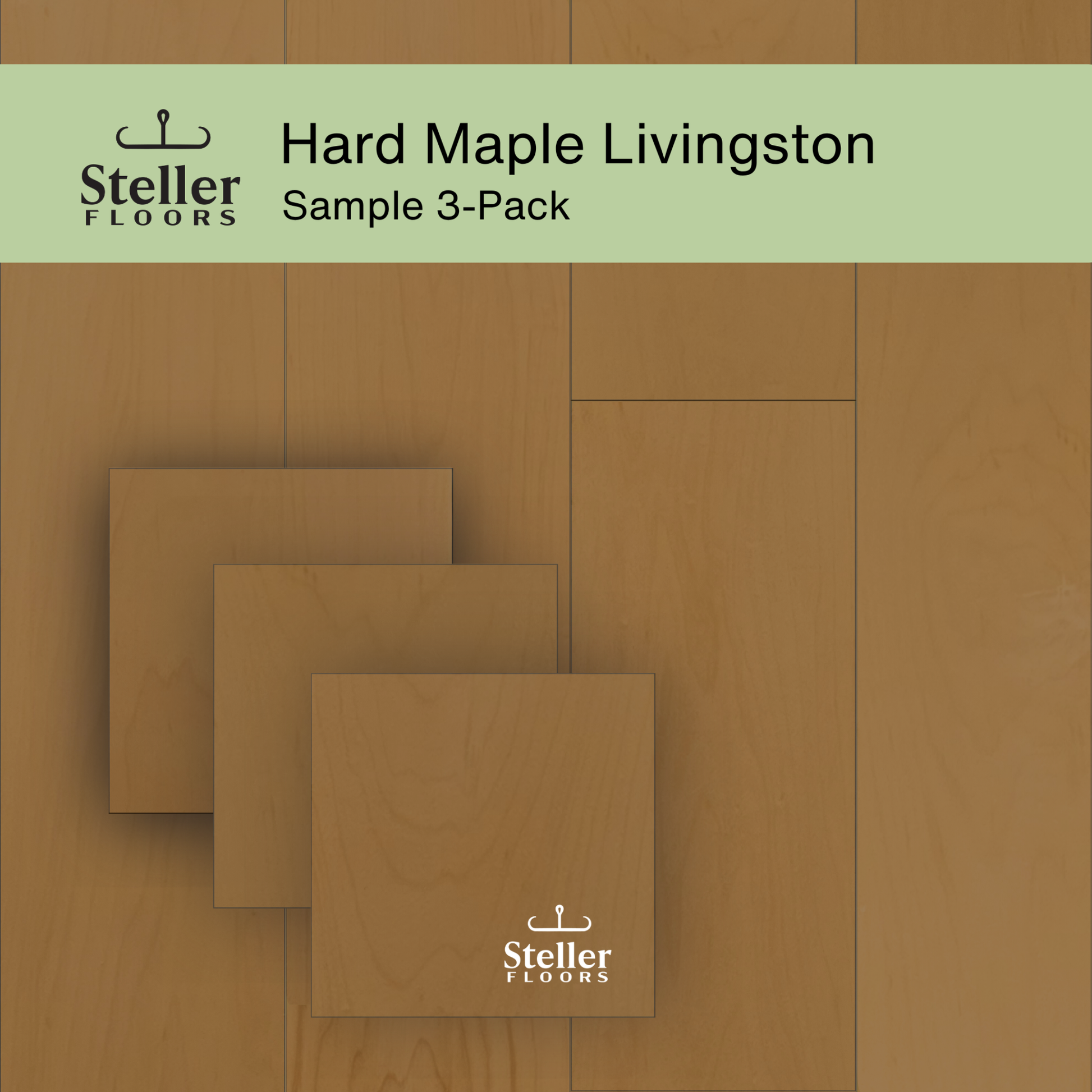 Steller Floors Sample 3-Pack with Hard Maple Livingston, mid-tone brown stain, showcasing grain variability.