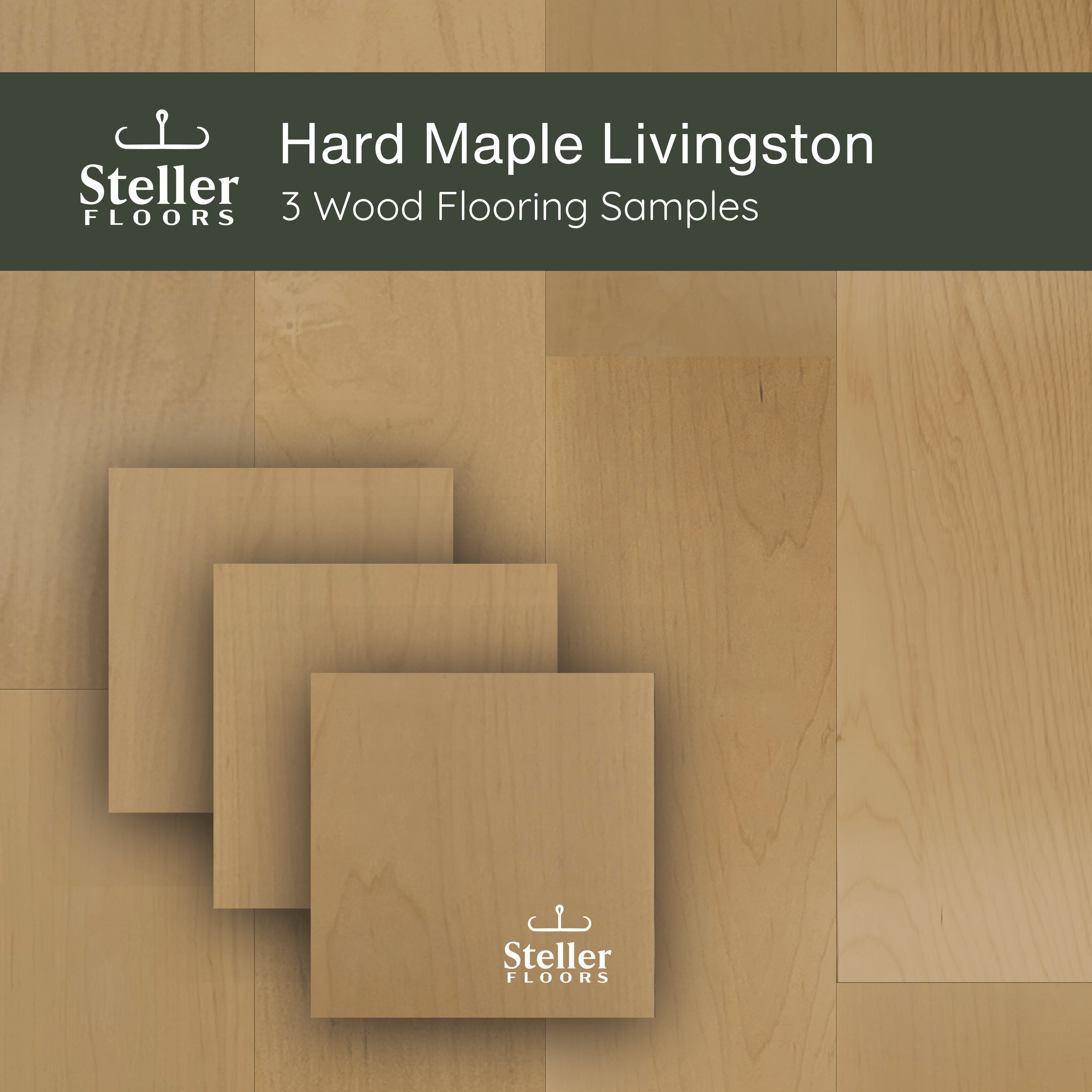 Hard Maple Livingston by Steller Floors - Sample 3-Pack - Includes Clips & Free Shipping