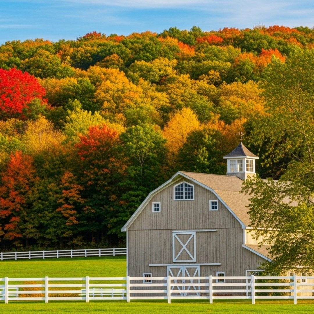 Getting Ecological about Sustainable Wood Floors with Britta Teller