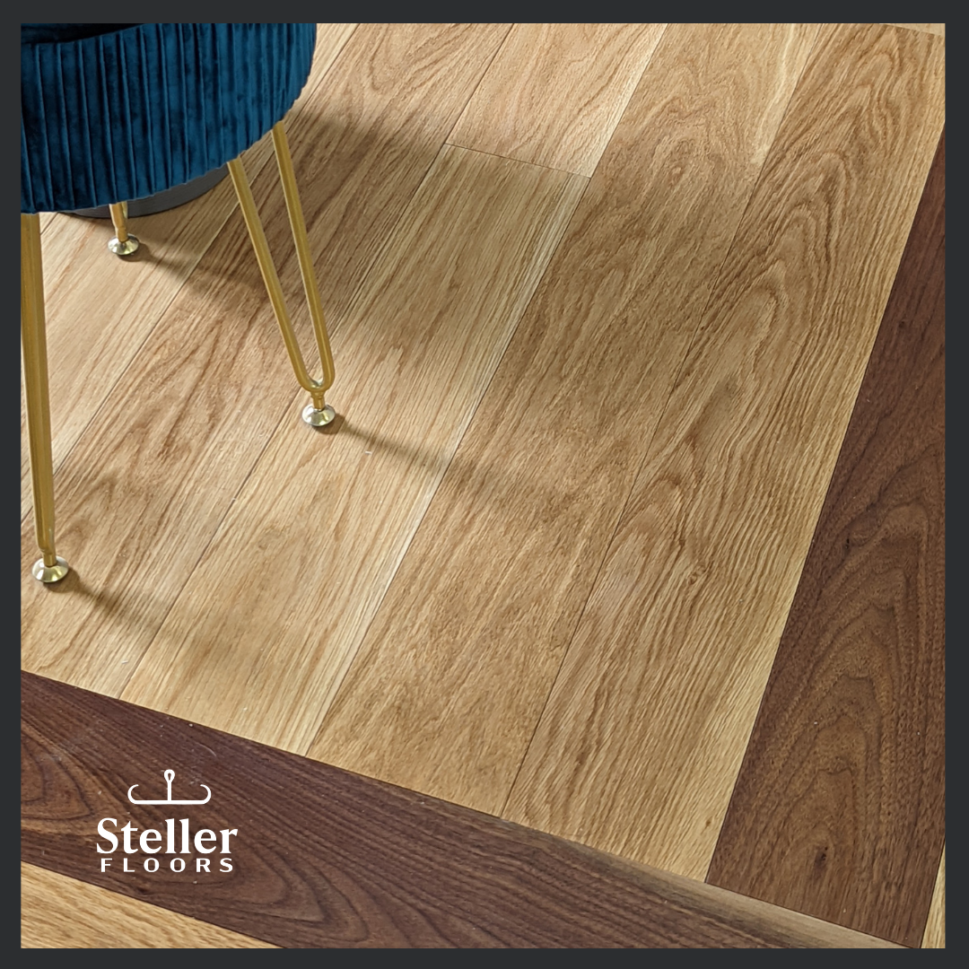 Picture Frame Border Pack – Add-On Distinctive Borders For Your Steller Floor