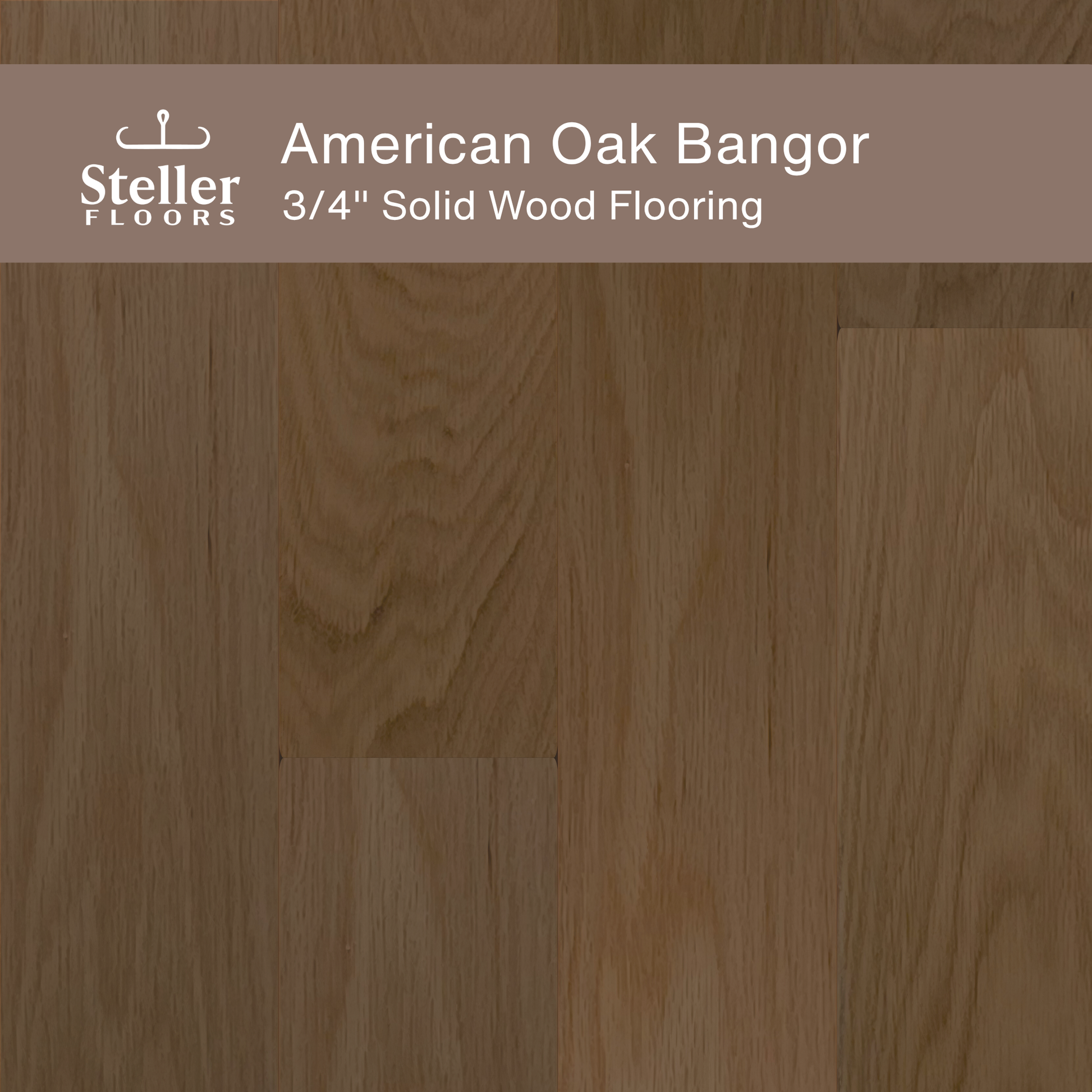 Steller Floors - 3/4" Solid Wood Floating Flooring - American Oak Bangor