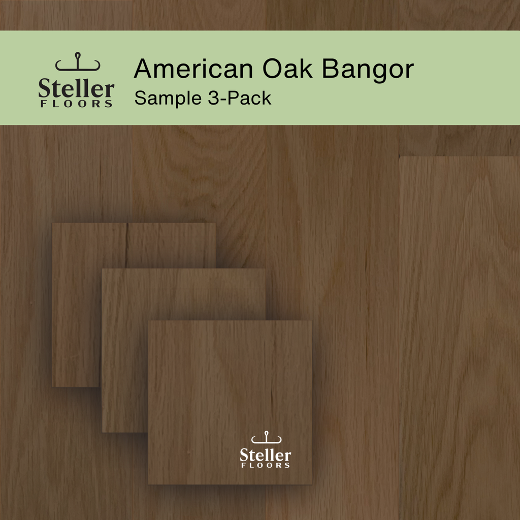 Steller Floors Sample 3-Pack of American Oak Bangor showcasing mid-tone black hardwood with visible grain.