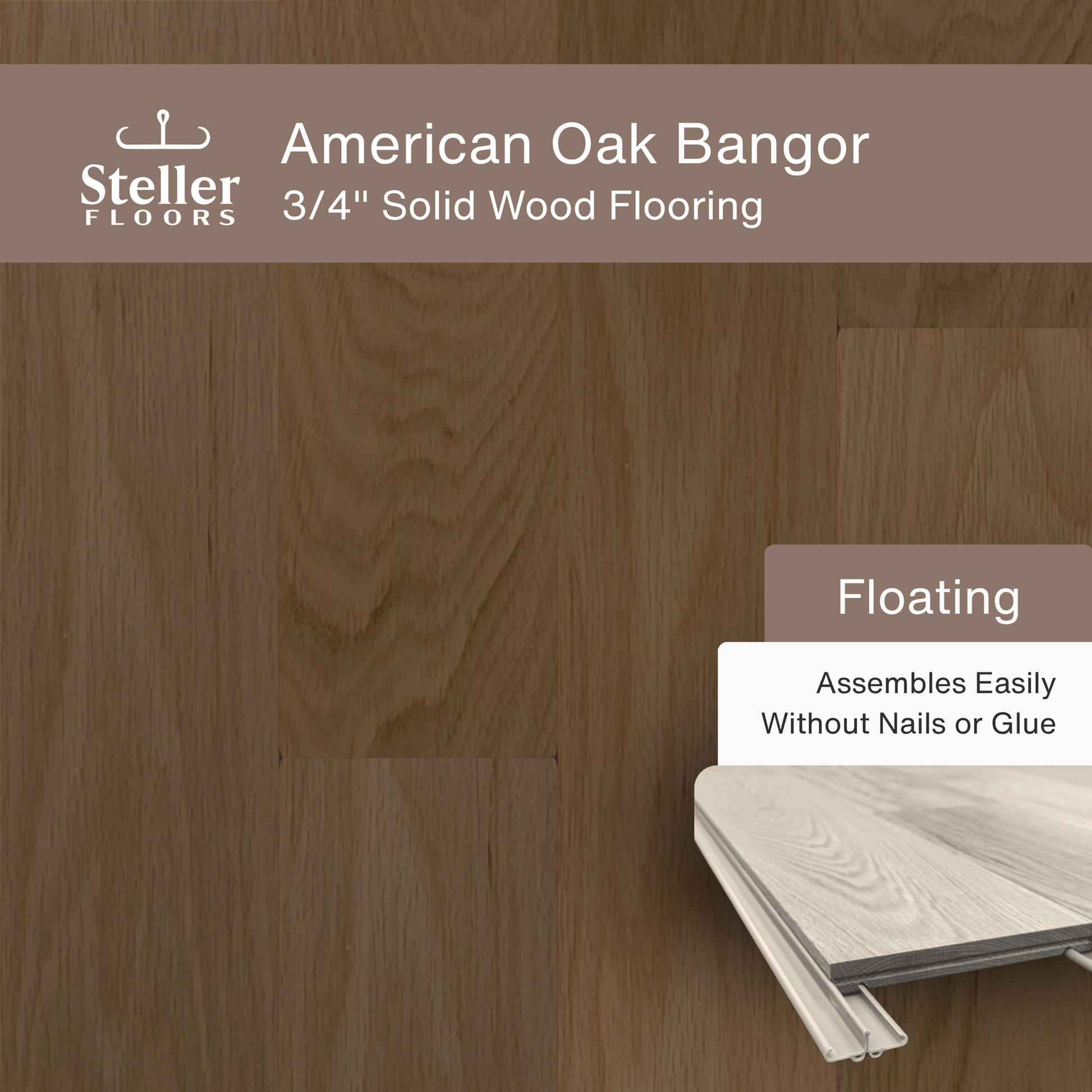 Steller Floors - 3/4" Solid Wood Floating Flooring - American Oak Bangor