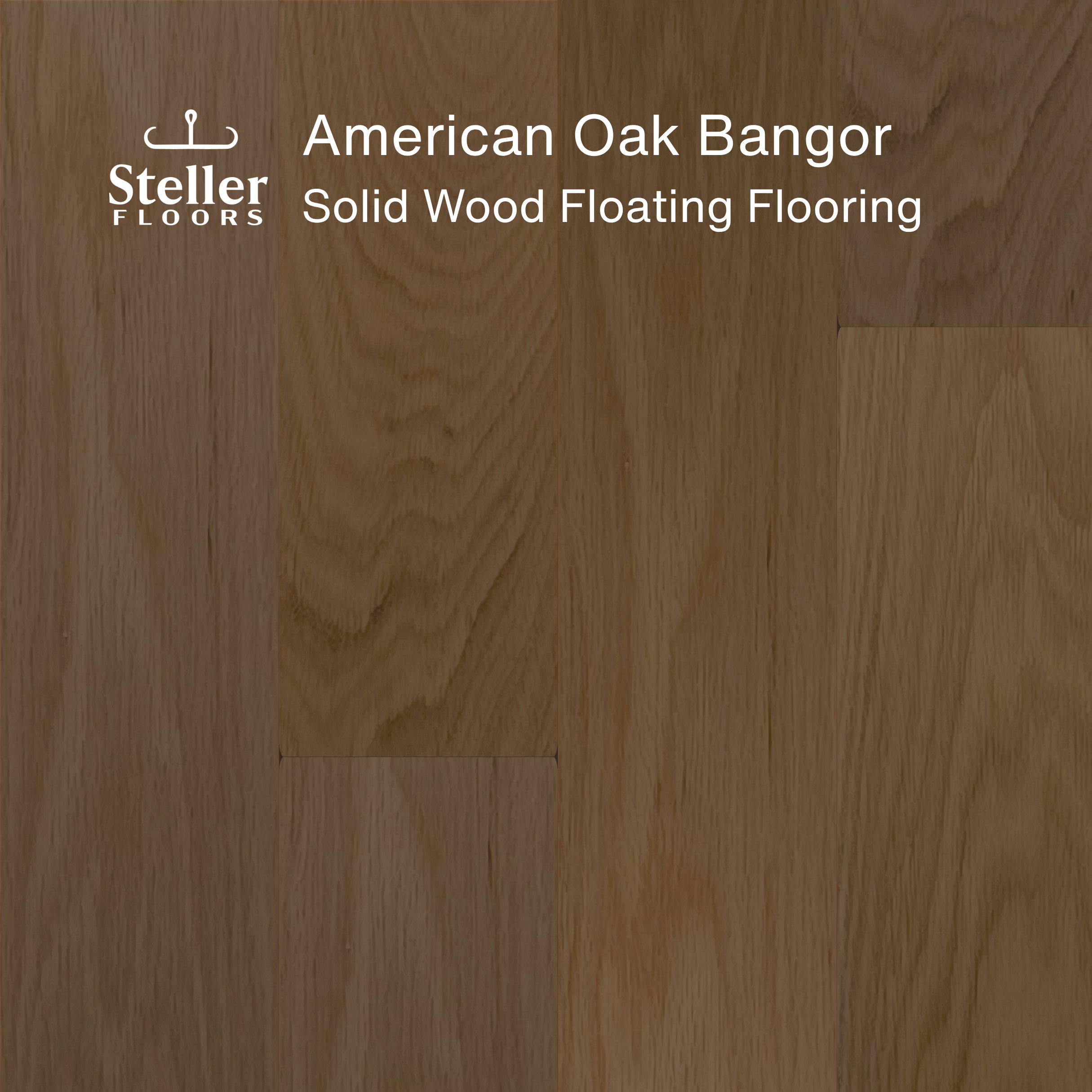 Steller Floors American Oak Refresher Packs (6 Planks, Fixed Lengths, Static Clip) - Shipping Included