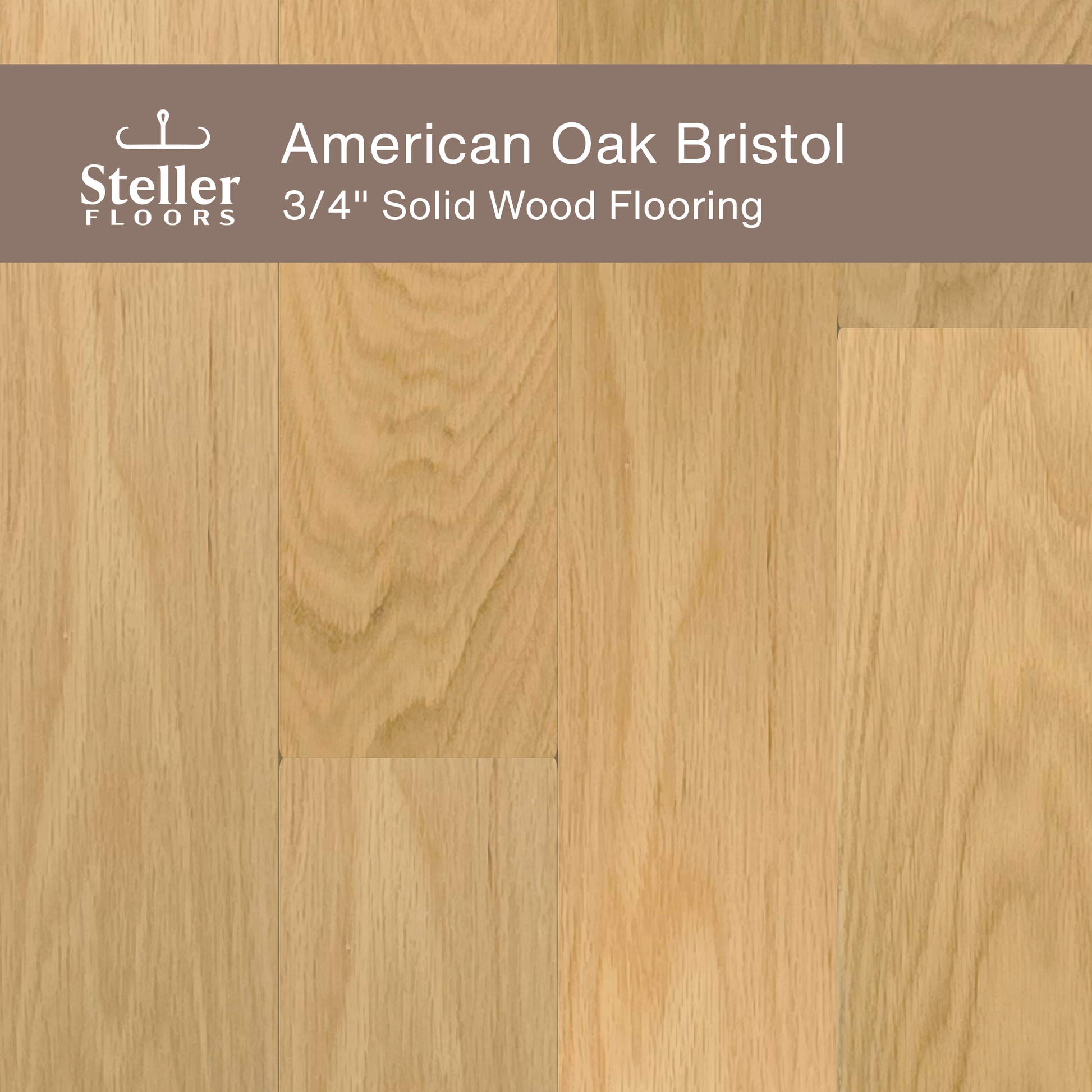 Steller Floors - 3/4" Solid Wood Floating Flooring - American Oak Bristol