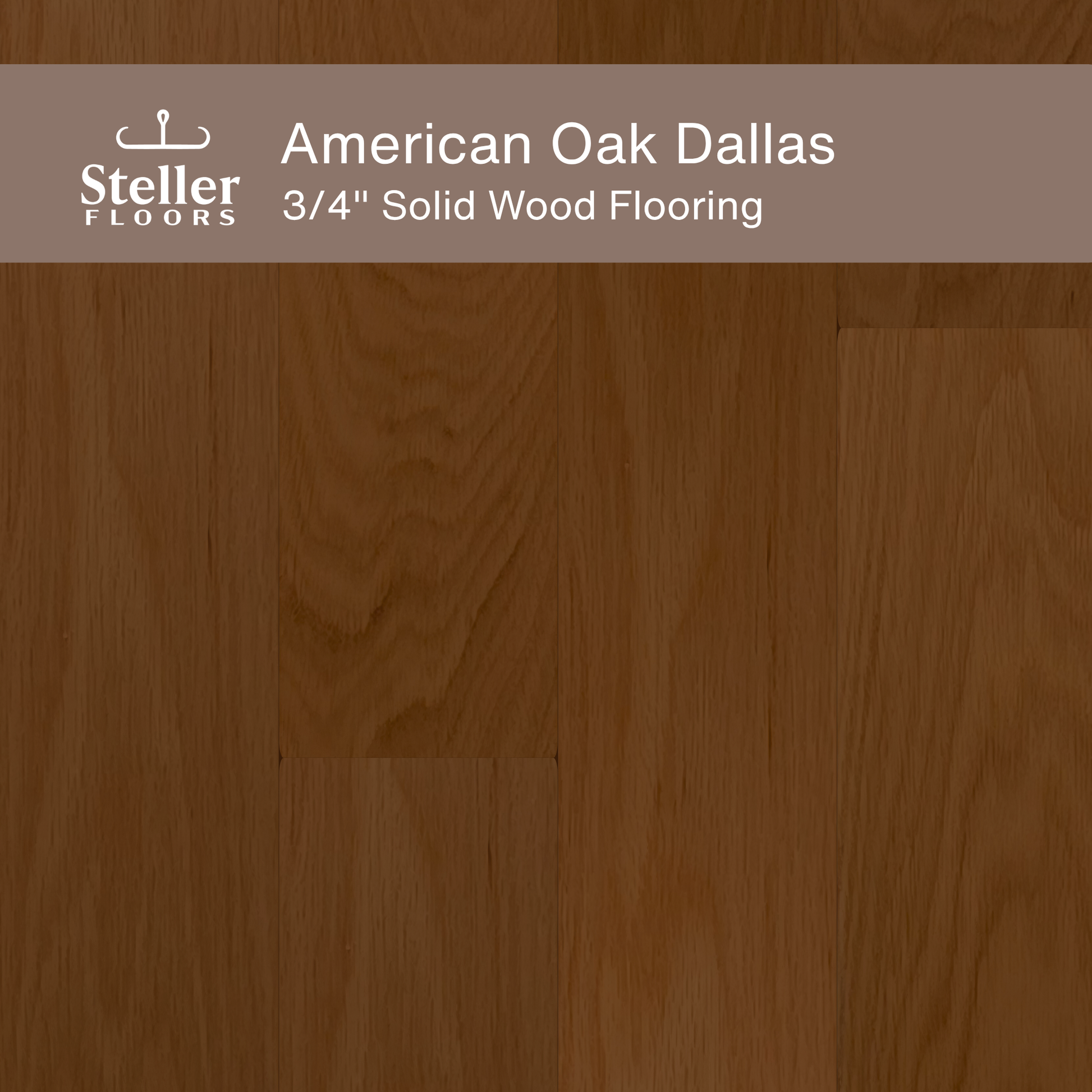 Steller Floors - 3/4" Solid Wood Floating Flooring - American Oak Dallas