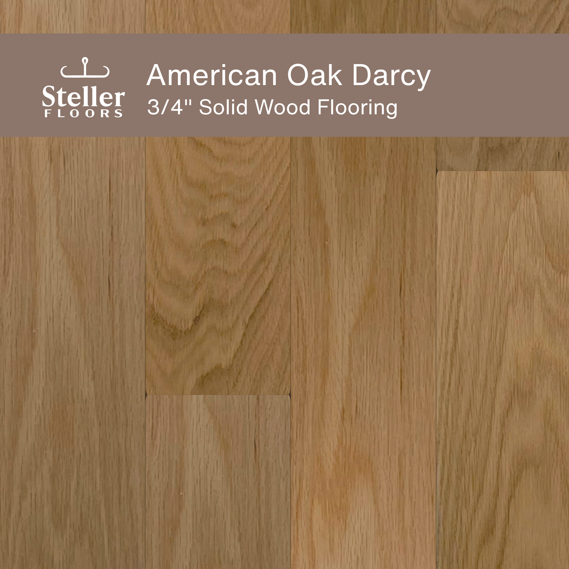 Steller Floors - 3/4" Solid Wood Floating Flooring - American Oak Darcy