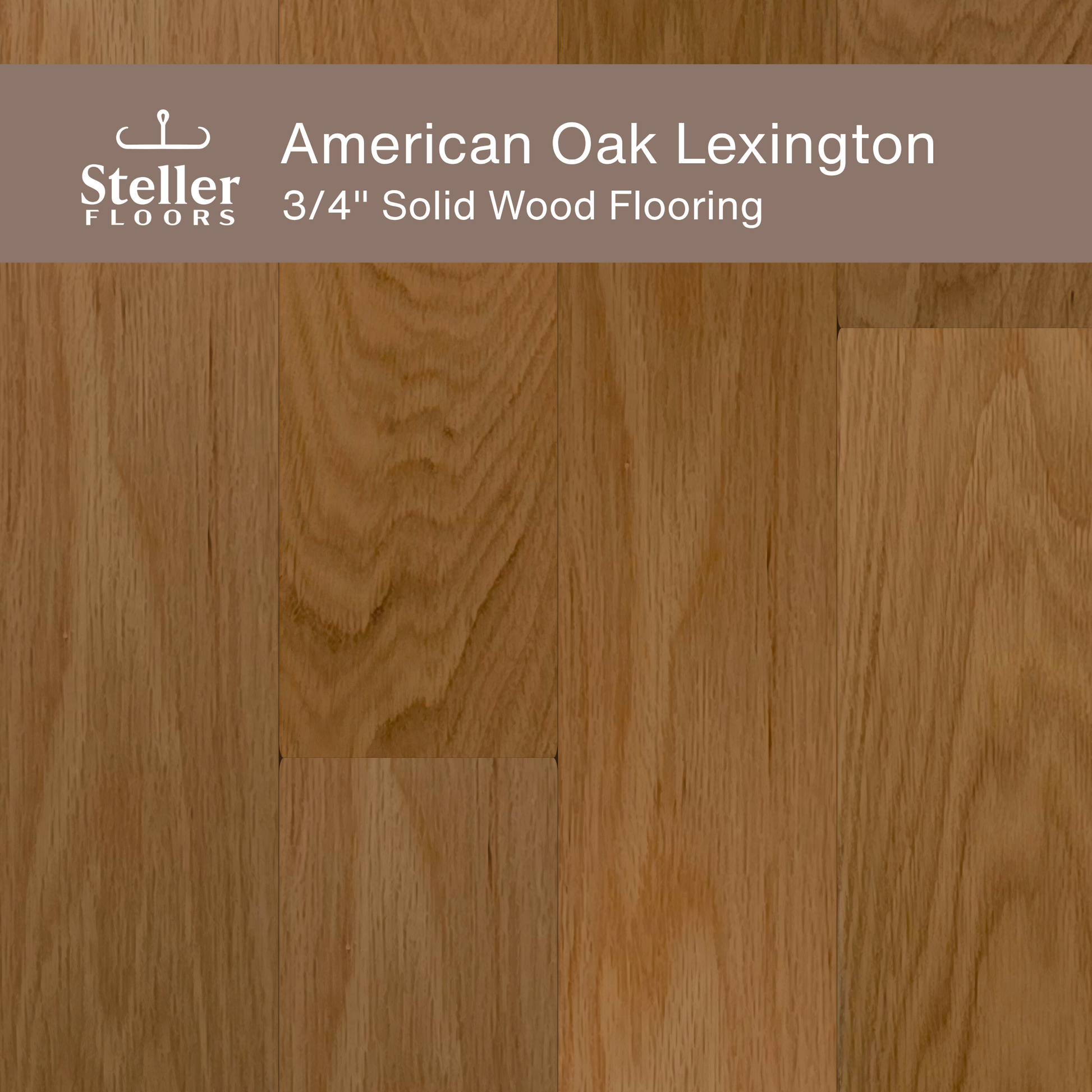 Steller Floors - 3/4" Solid Wood Floating Flooring - American Oak Lexington