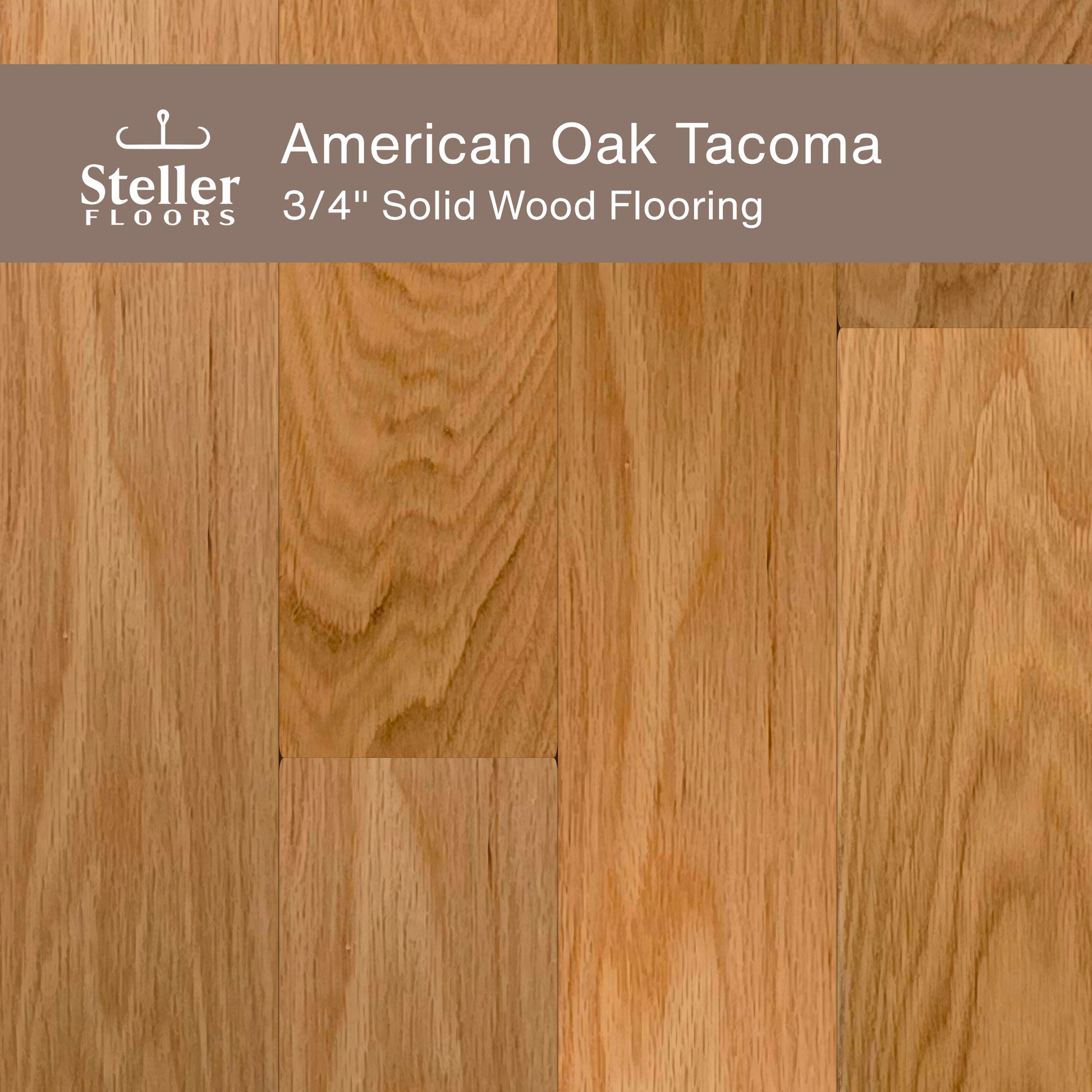 Steller Floors - 3/4" Solid Wood Floating Flooring - American Oak Tacoma
