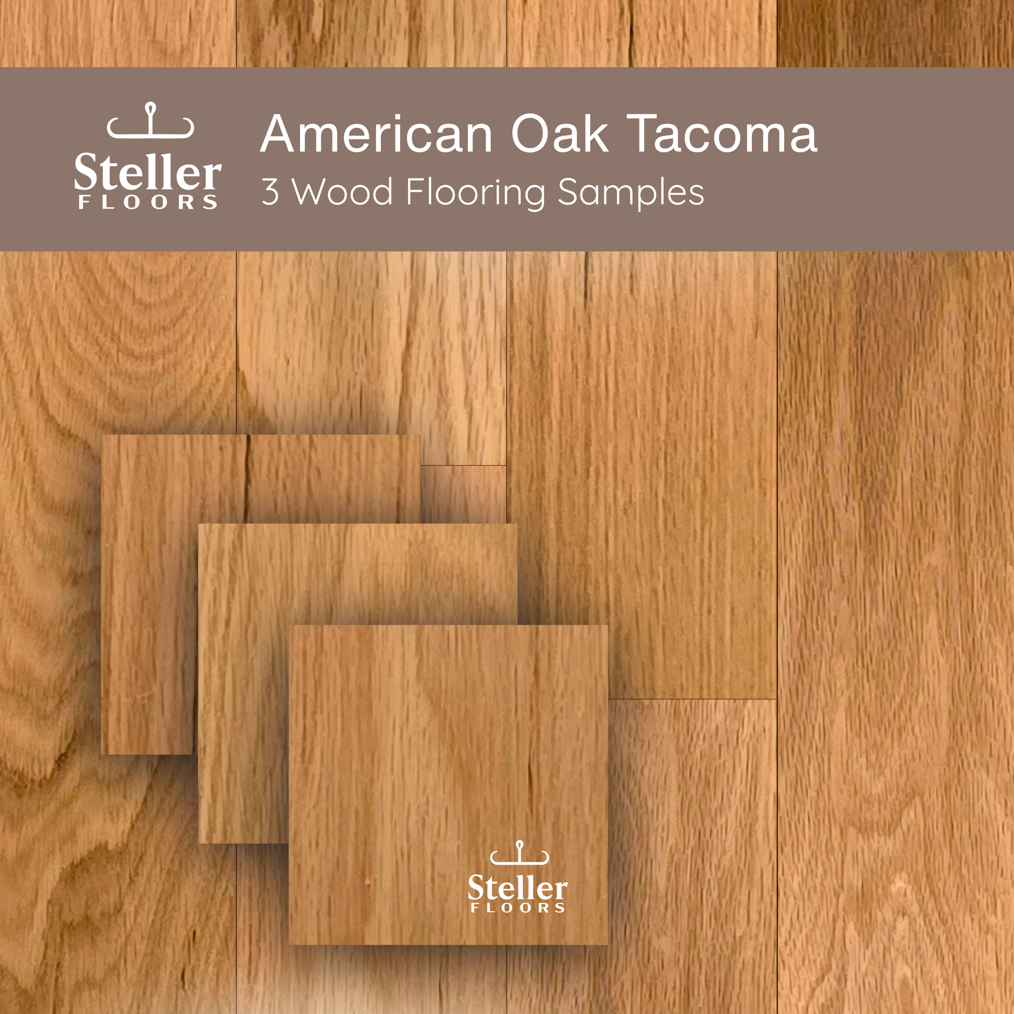 Americans Oak Tacoma by Steller Floors - Sample 3-Pack - Includes Clips & Free Shipping