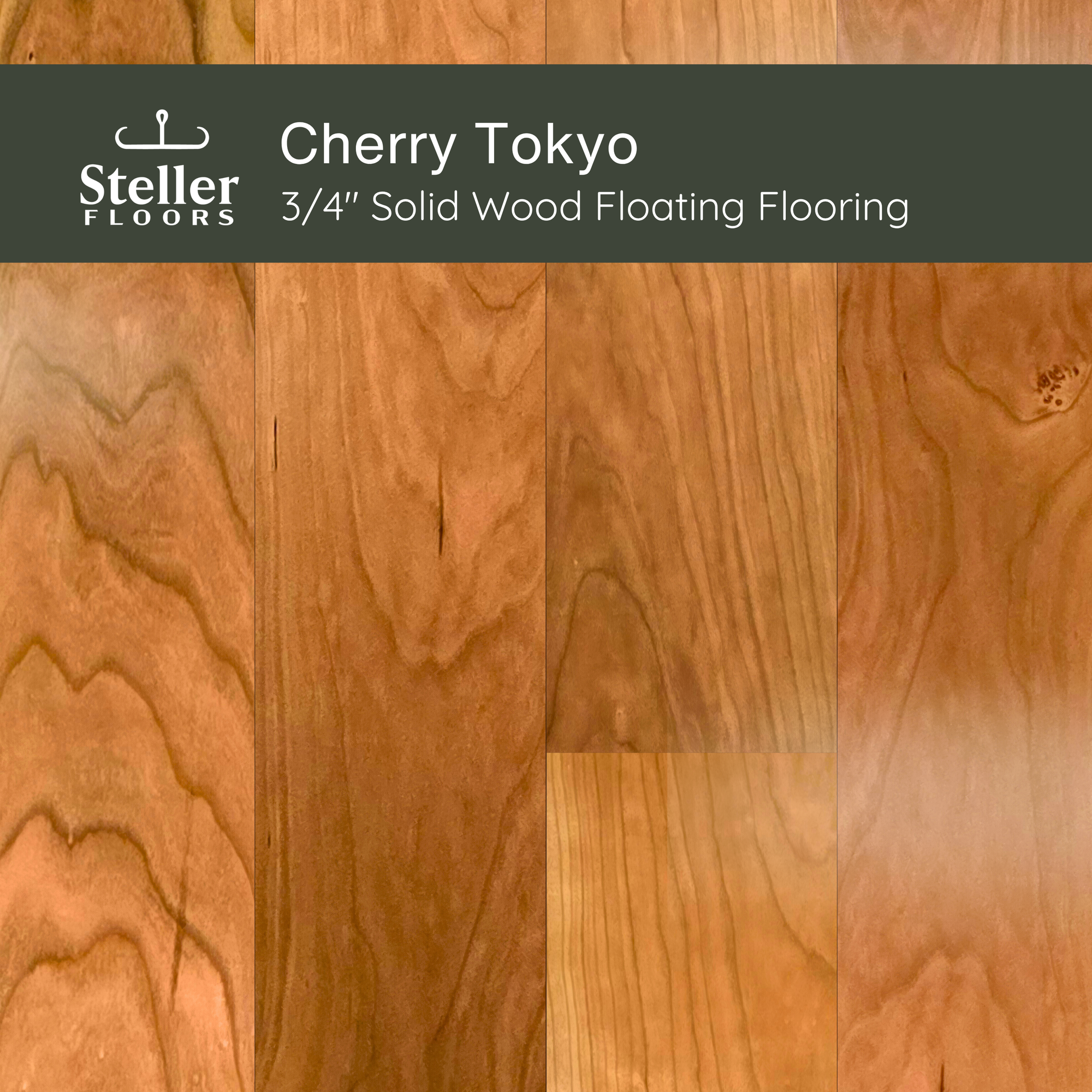 Cherry Tokyo by Steller Floors - Sample 3-Pack - Includes Clips & Free Shipping