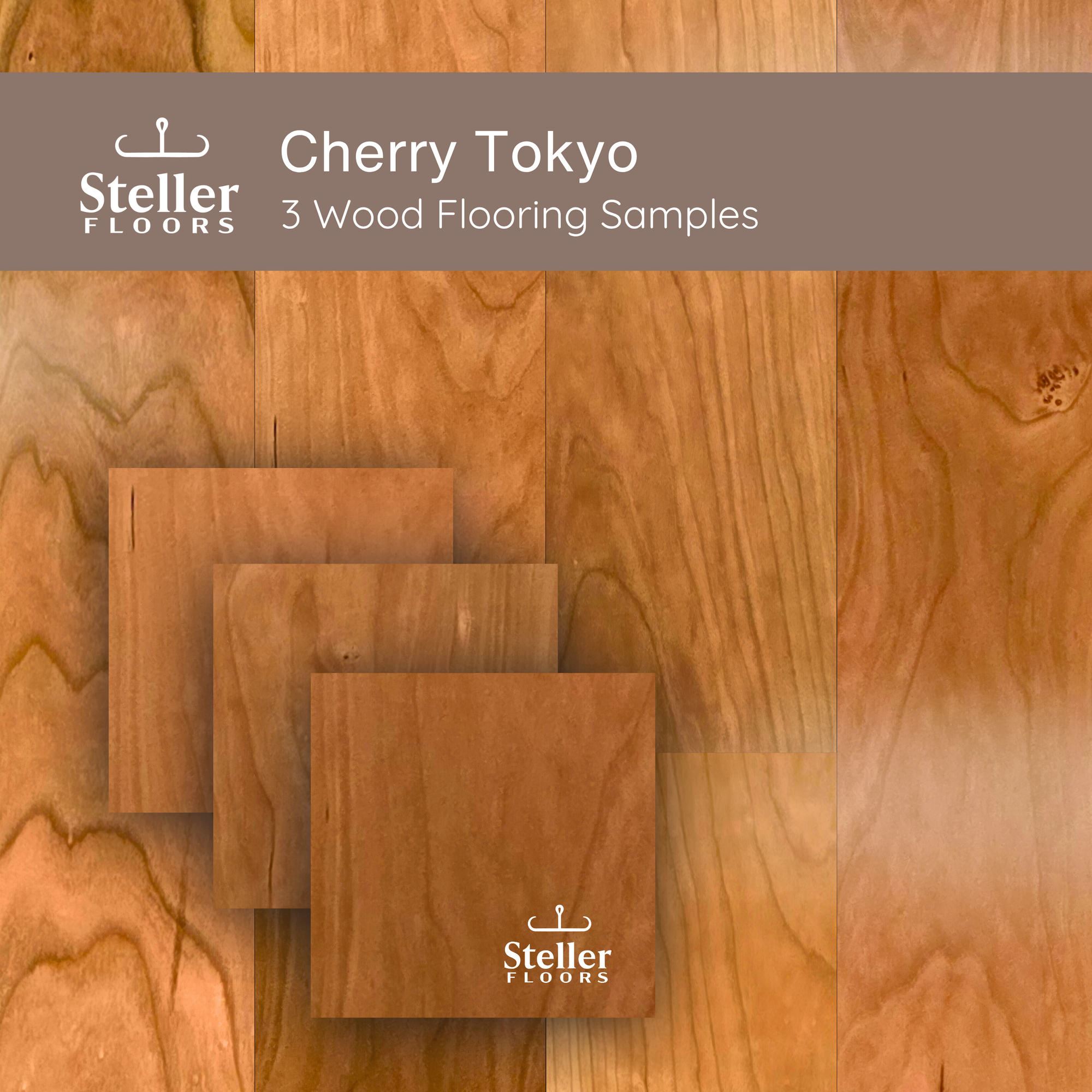 Cherry Tokyo by Steller Floors - Sample 3-Pack - Includes Clips & Free Shipping