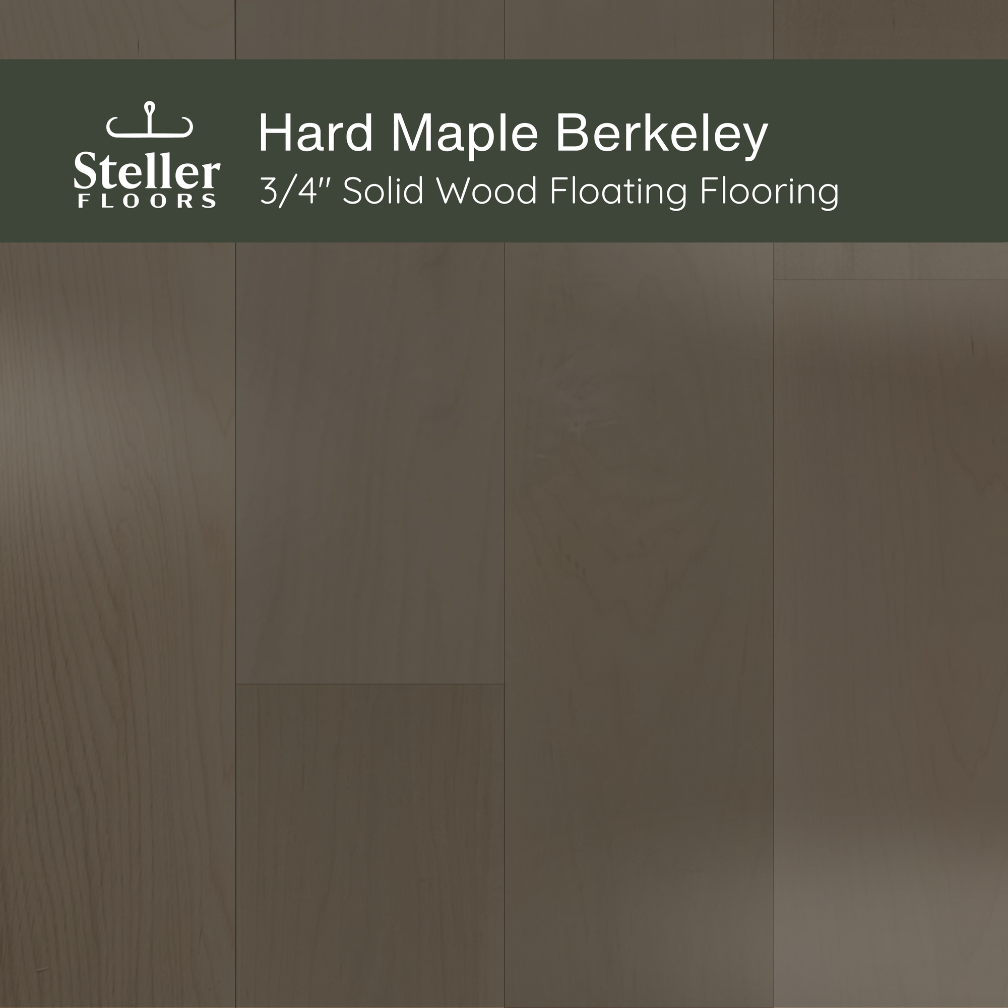 Hard Maple Berkeley by Steller Floors - Sample 3-Pack - Includes Clips & Free Shipping