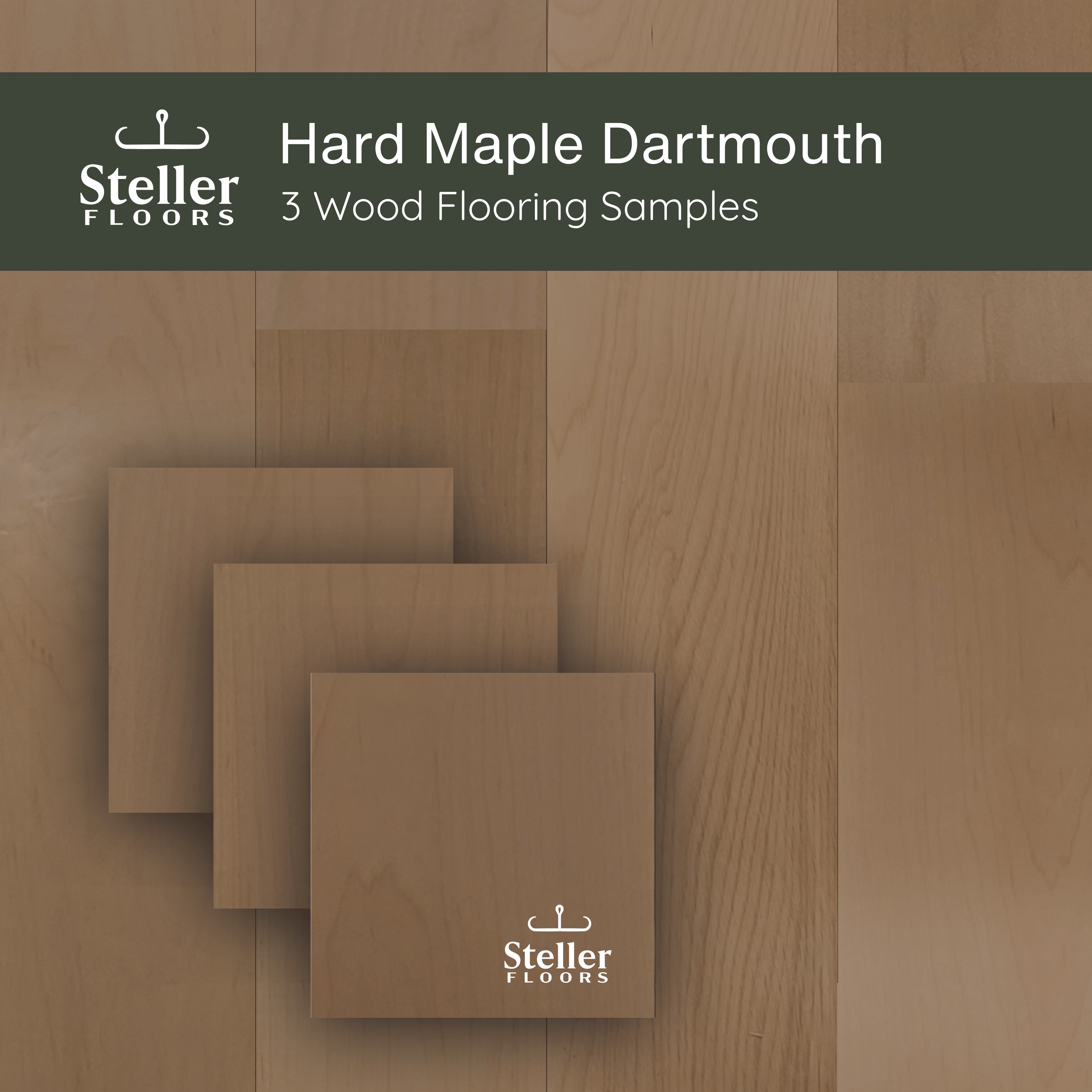Hard Maple Dartmouth by Steller Floors - Sample 3-Pack - Includes Clips & Free Shipping