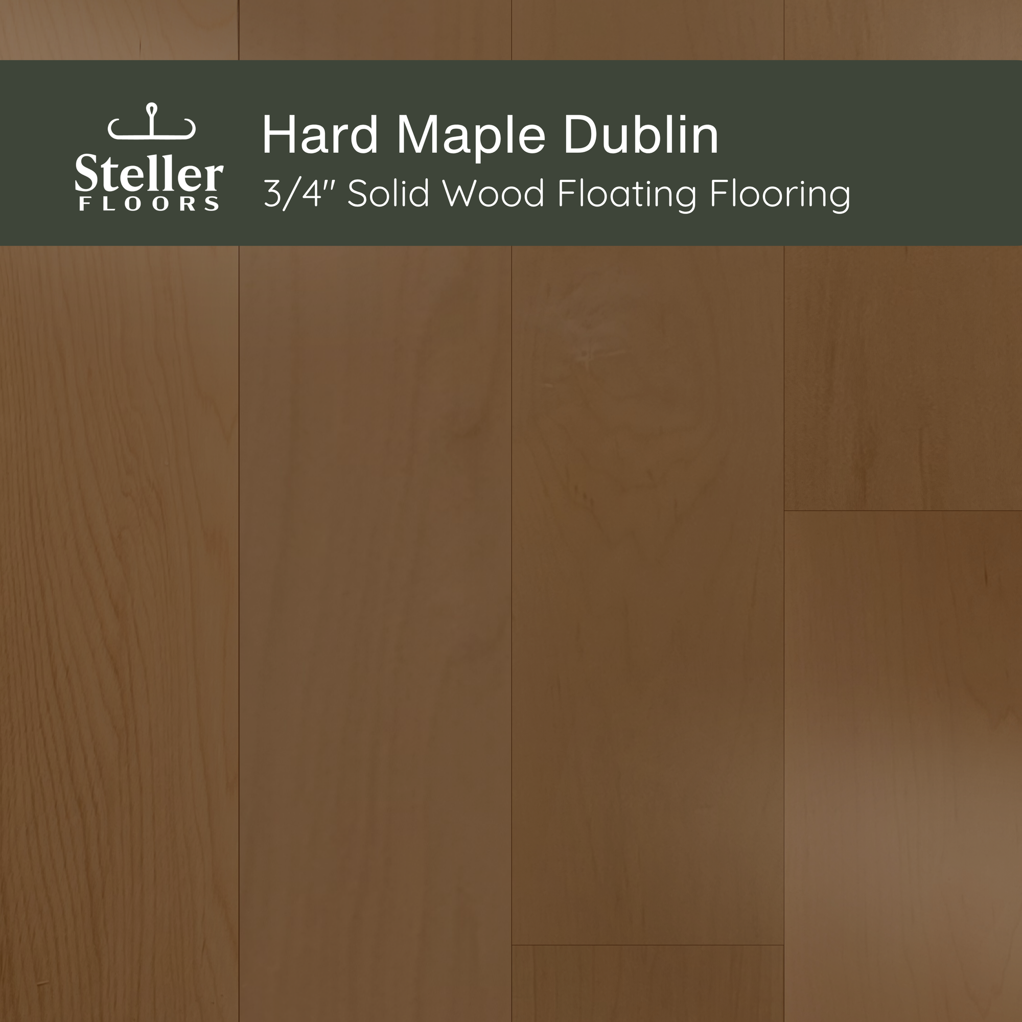 Hard Maple Dublin by Steller Floors - Sample 3-Pack - Includes Clips & Free Shipping