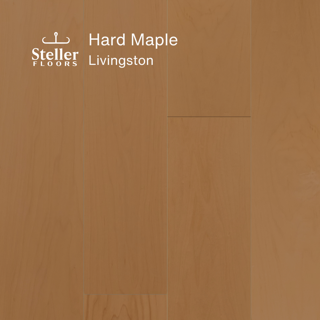Steller Floors Sample 3-Pack - Hard Maple Livingston