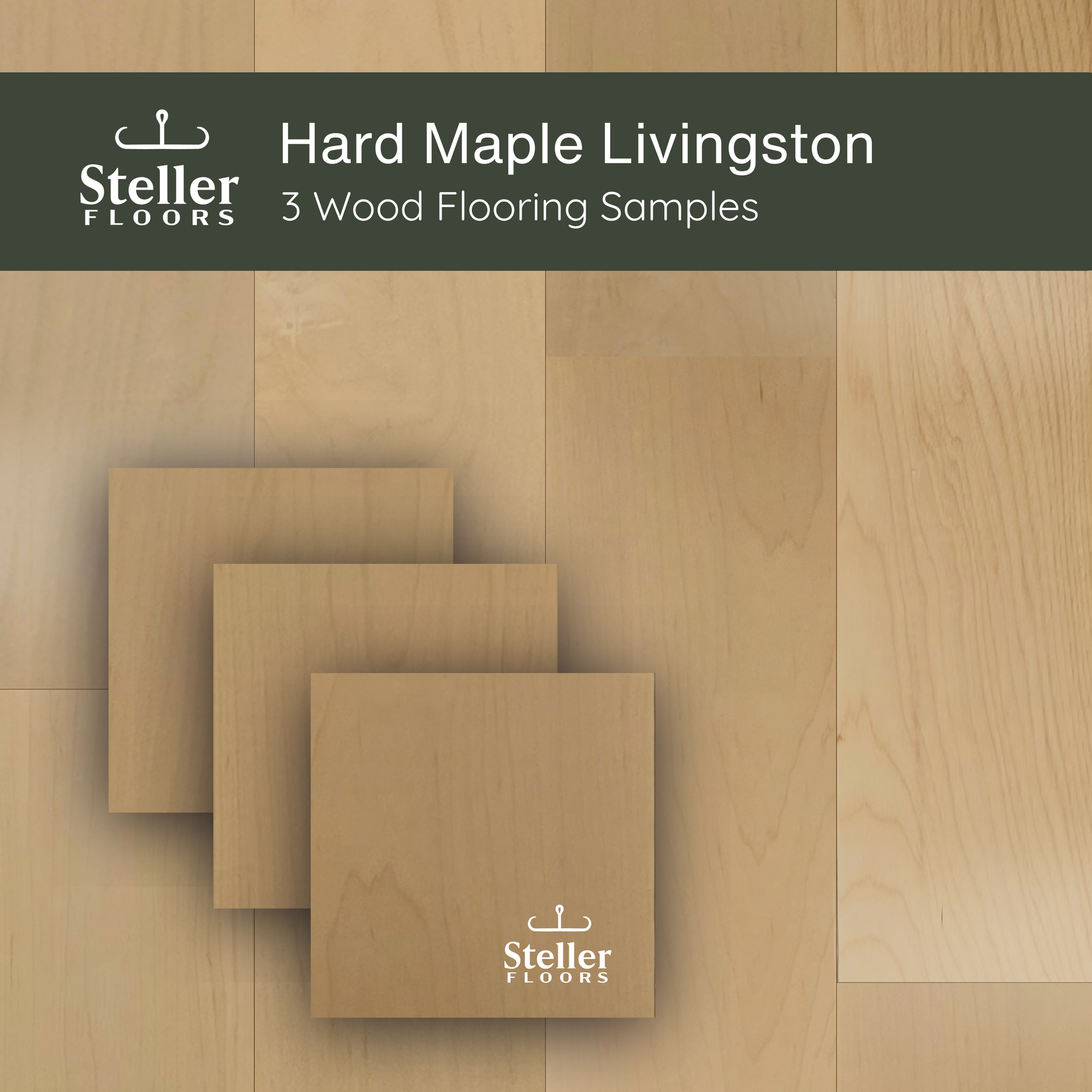 Hard Maple Livingston by Steller Floors - Sample 3-Pack - Includes Clips & Free Shipping