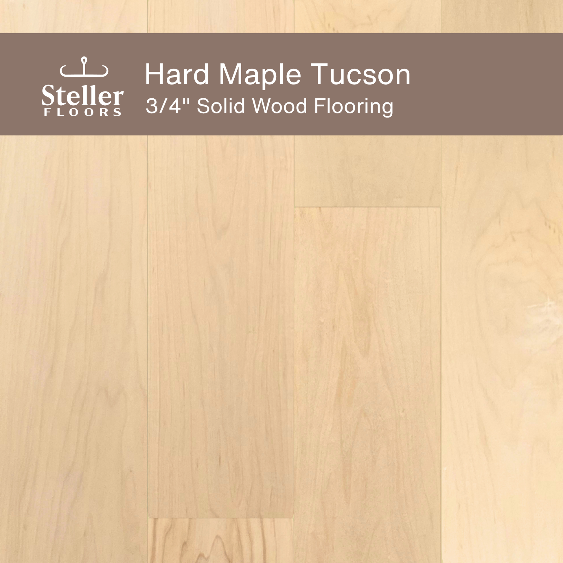 Steller Floors - 3/4" Solid Wood Floating Flooring - Hard Maple Tucson