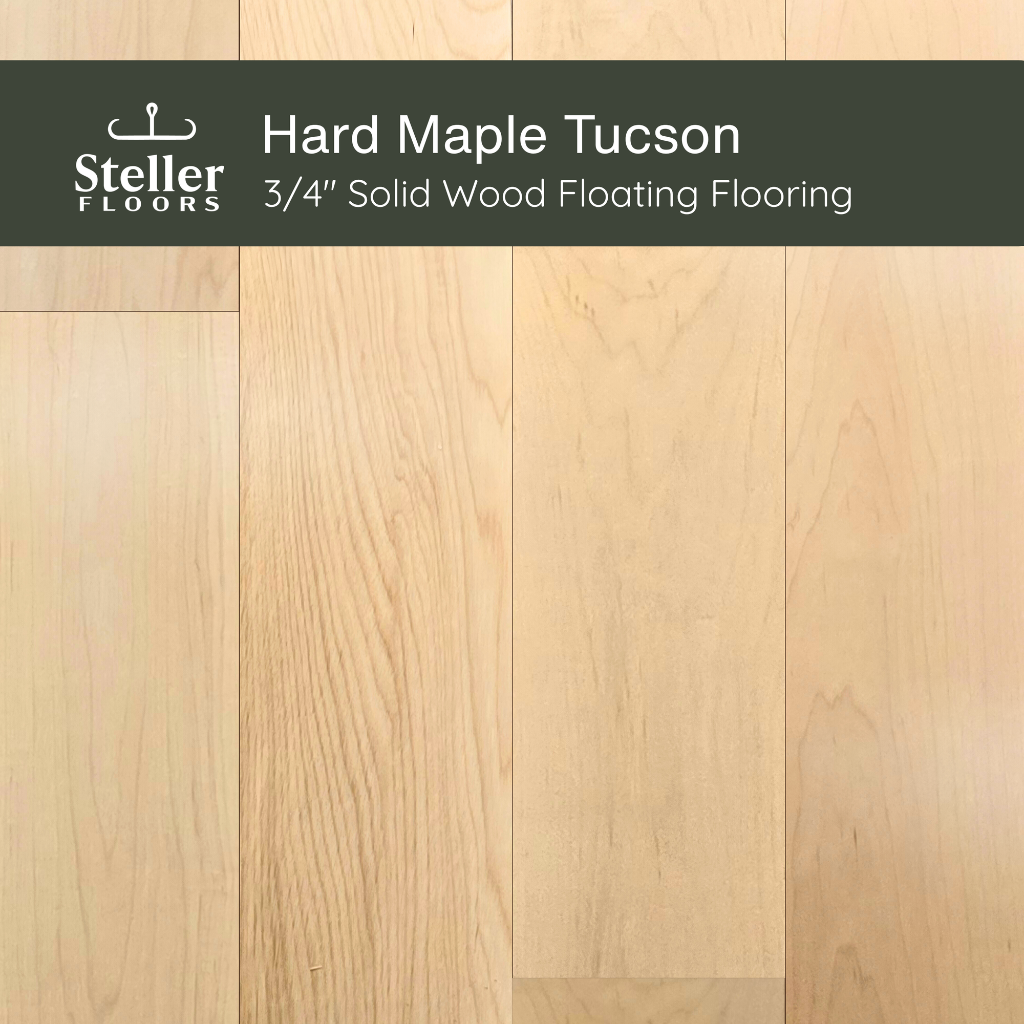 Hard Maple Tucson by Steller Floors - Sample 3-Pack - Includes Clips & Free Shipping