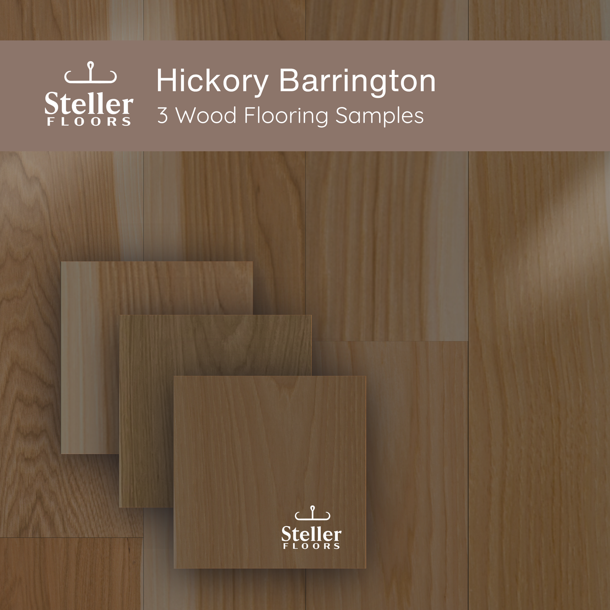 Hickory Barrington by Steller Floors - Sample 3-Pack - Includes Clips & Free Shipping