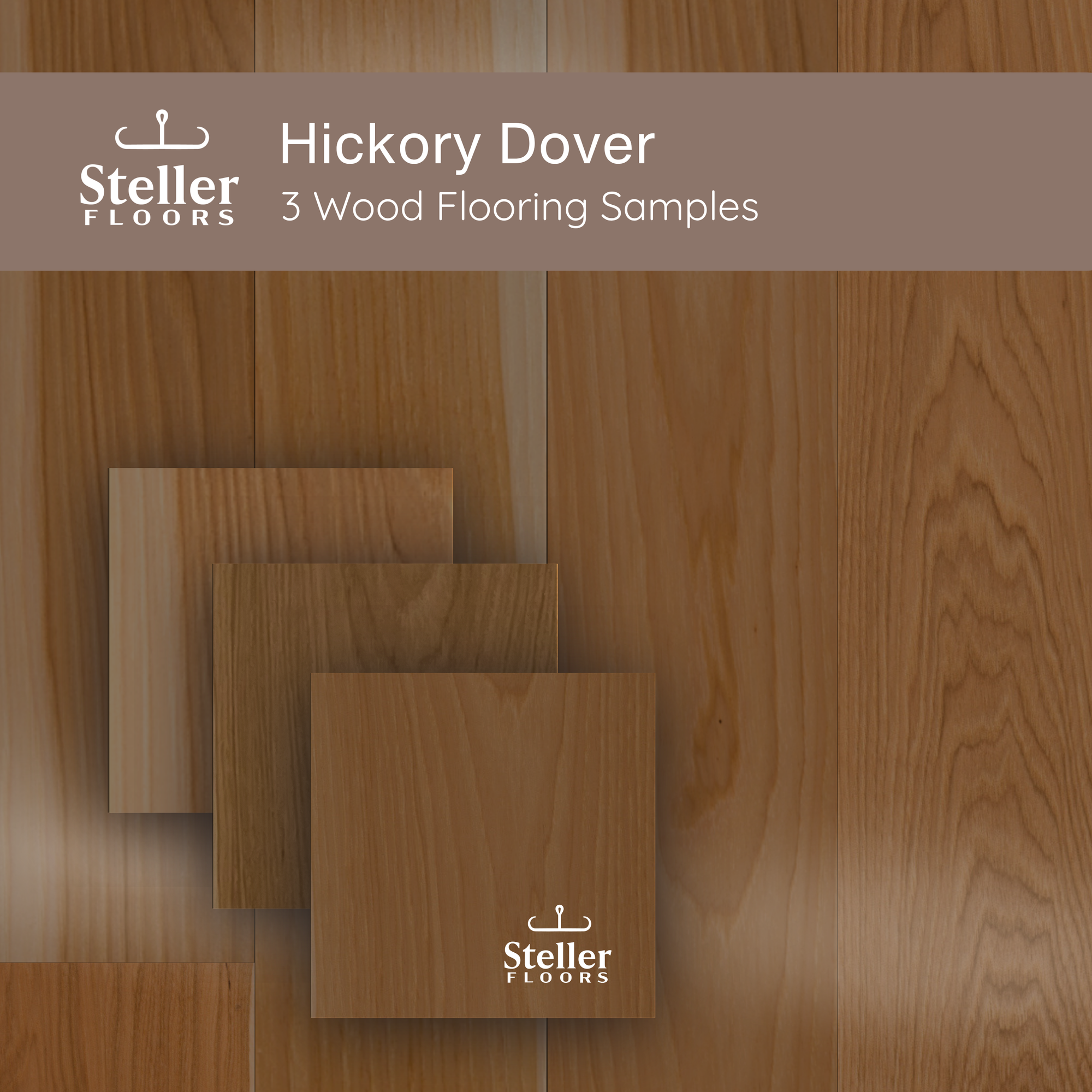 Hickory Dover by Steller Floors - Sample 3-Pack - Includes Clips & Free Shipping