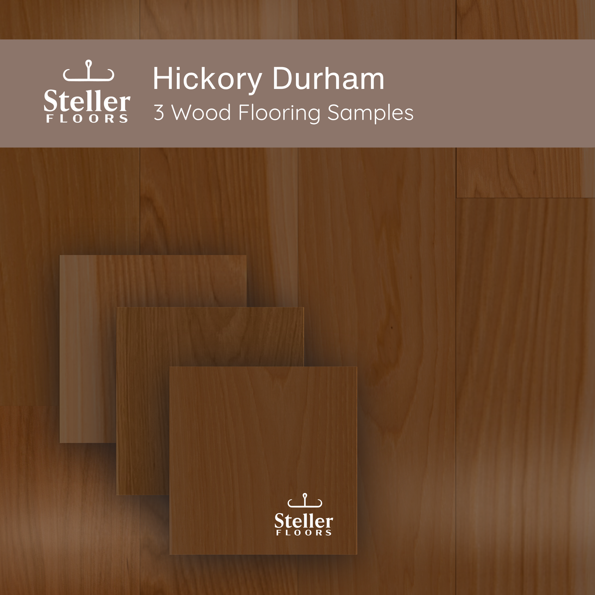Hickory Durham by Steller Floors - Sample 3-Pack - Includes Clips & Free Shipping