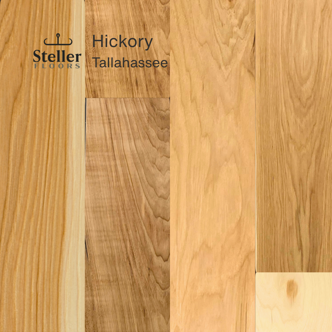 Steller Floors Sample 3-Pack - Hickory Tallahassee