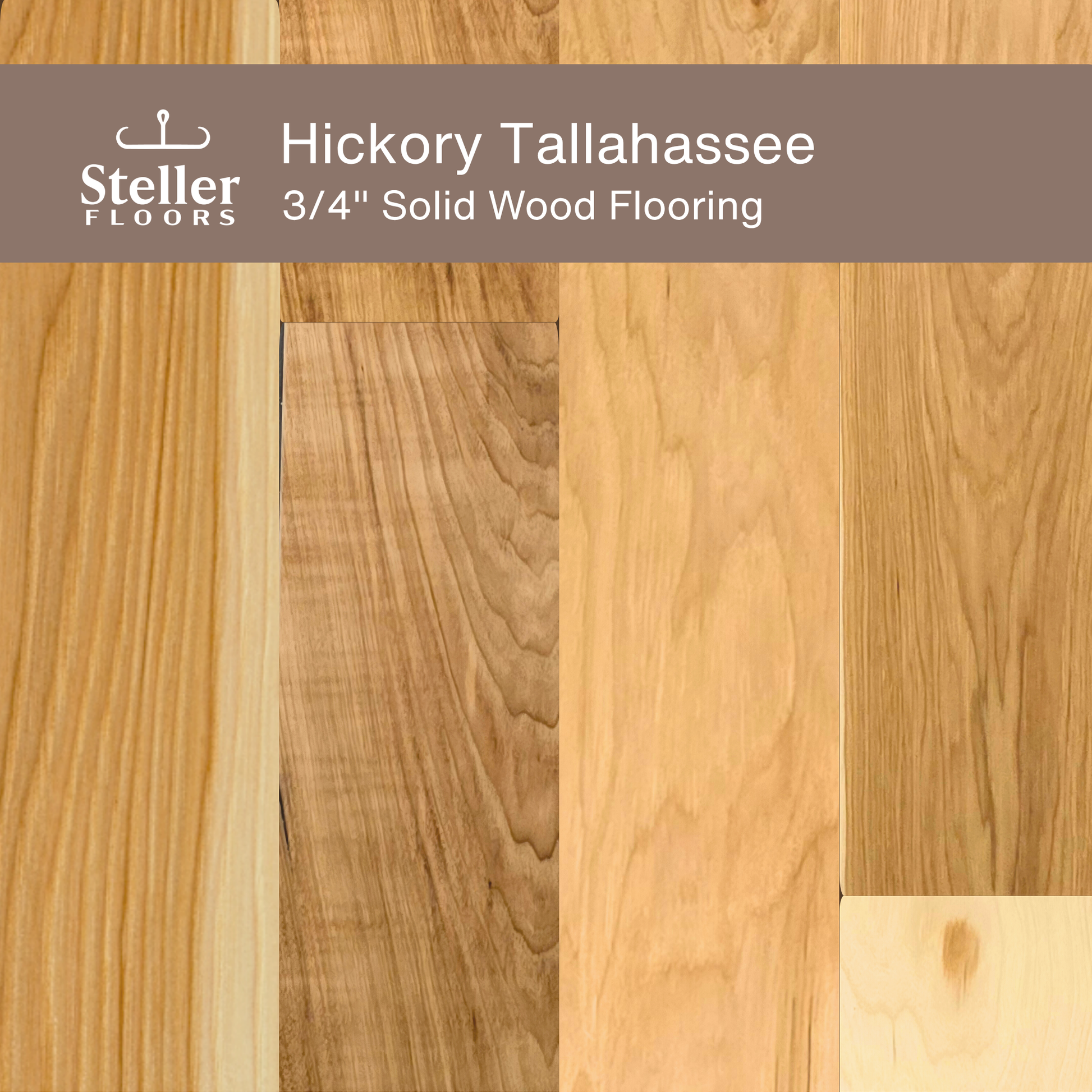 Steller Floors - 3/4" Solid Wood Floating Flooring - Hickory Tallahassee