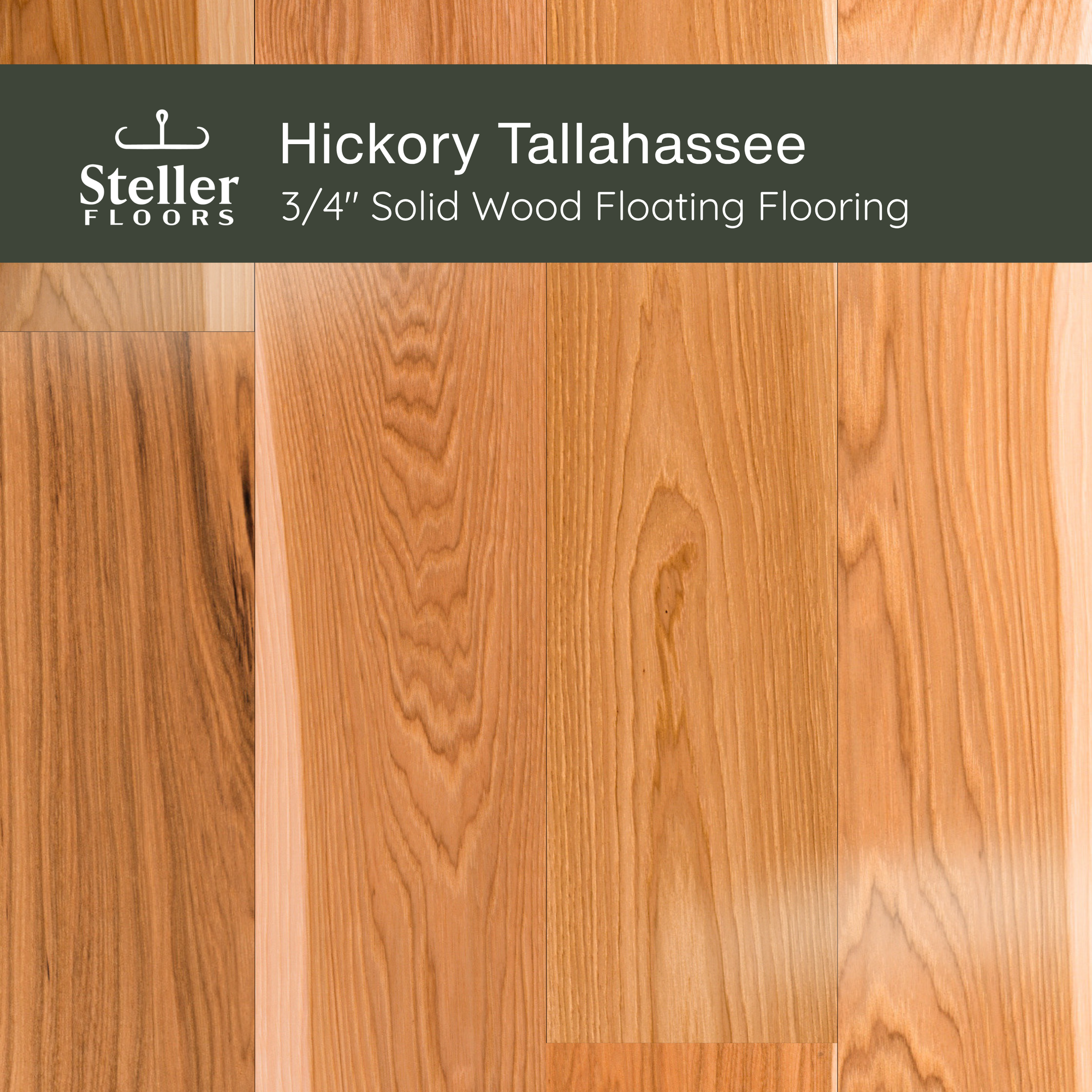 Hickory Tallahassee by Steller Floors - Sample 3-Pack - Includes Clips & Free Shipping