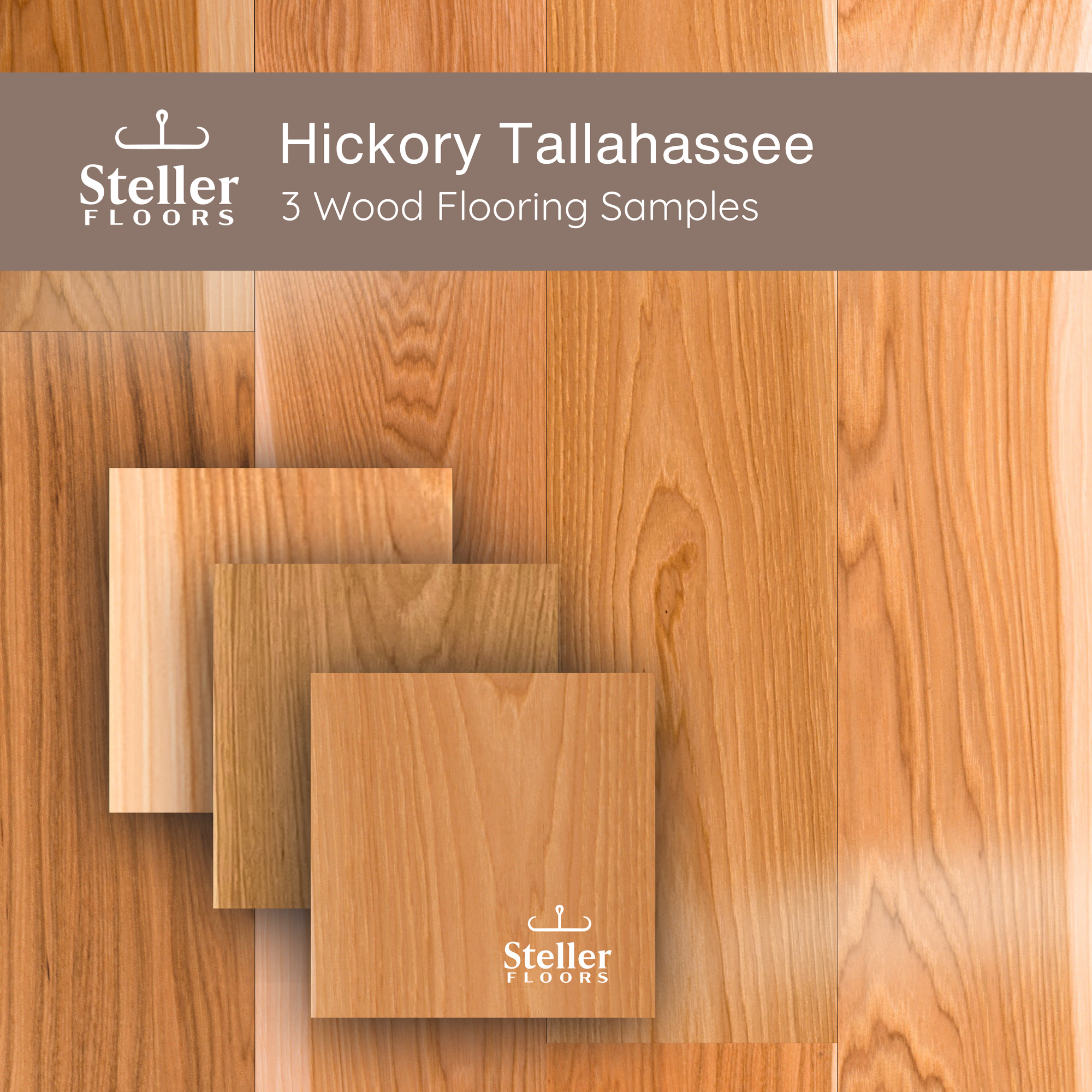 Hickory Tallahassee by Steller Floors - Sample 3-Pack - Includes Clips & Free Shipping