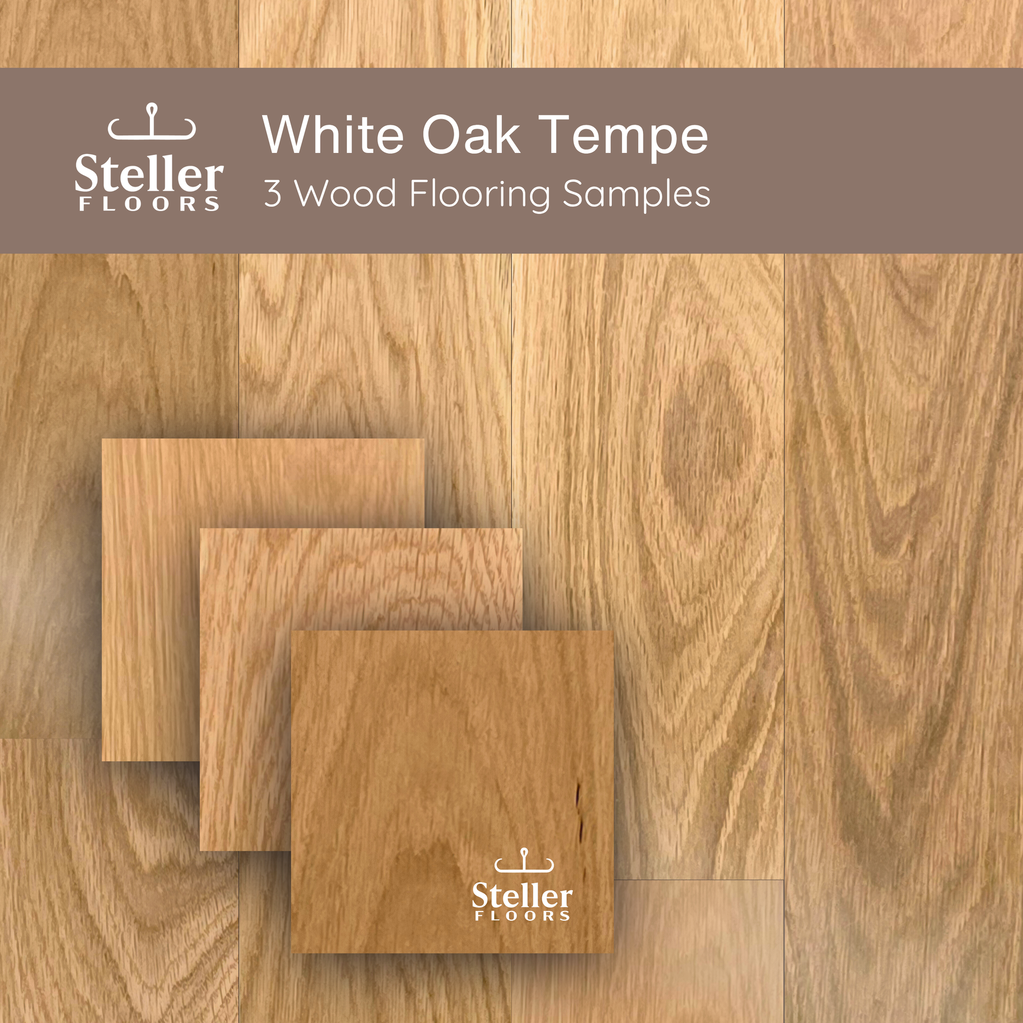 White Oak Tempe by Steller Floors - Sample 3-Pack - Includes Clips & Free Shipping