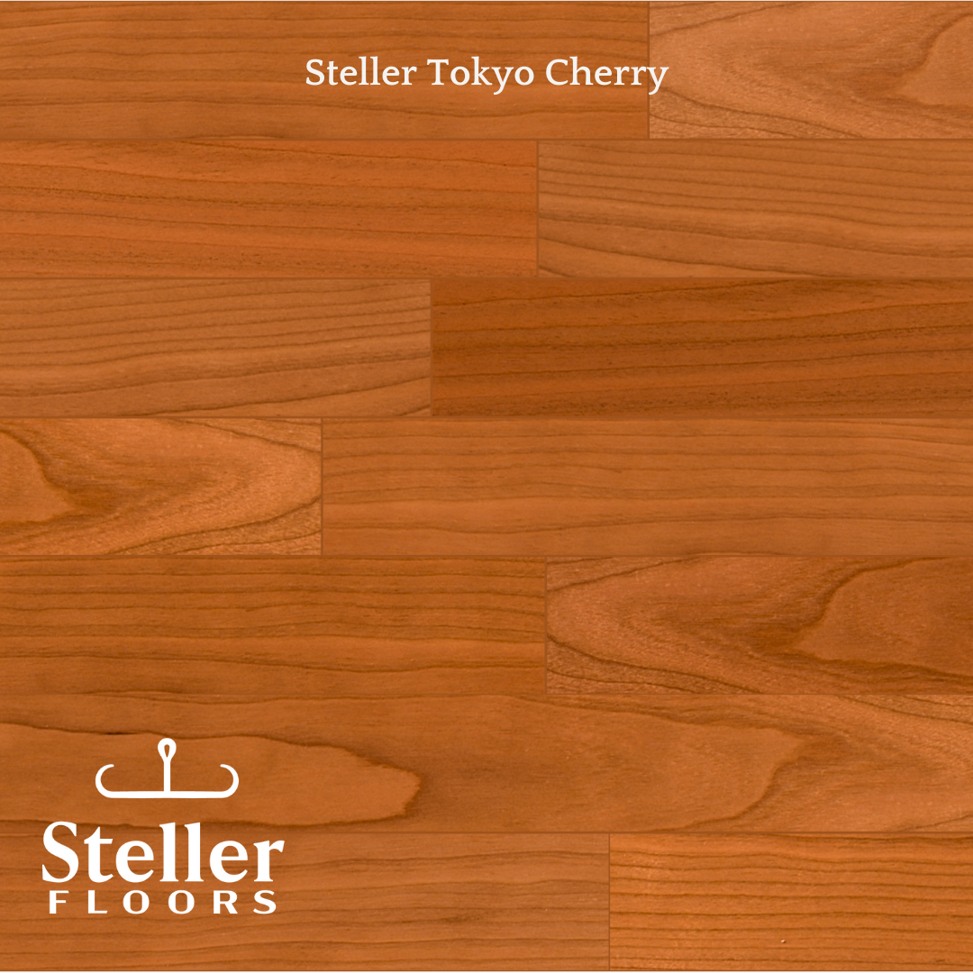Tokyo Cherry by Steller
