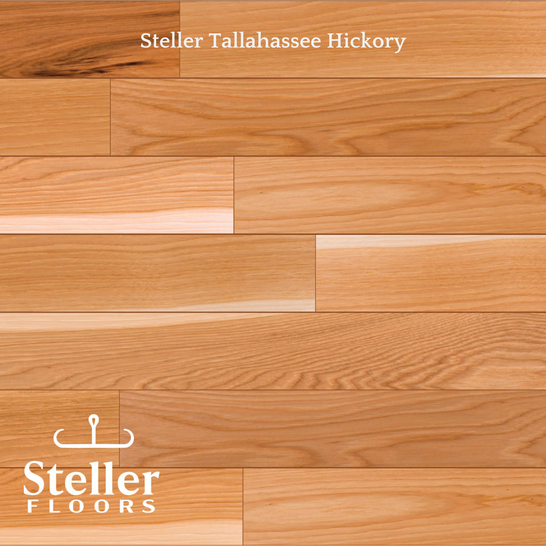 Tallahassee Hickory by Steller