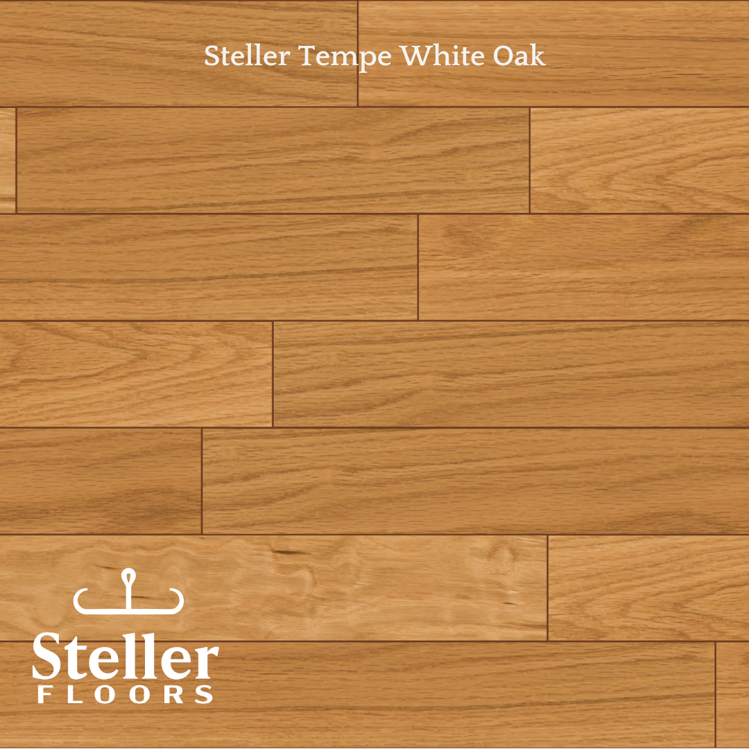 Tempe White Oak By Steller