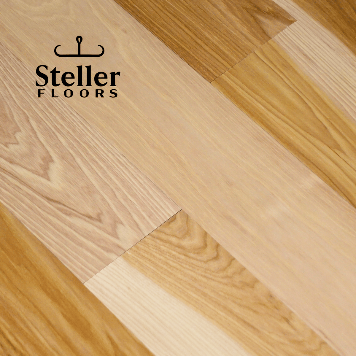 Tallahassee Hickory by Steller Floors