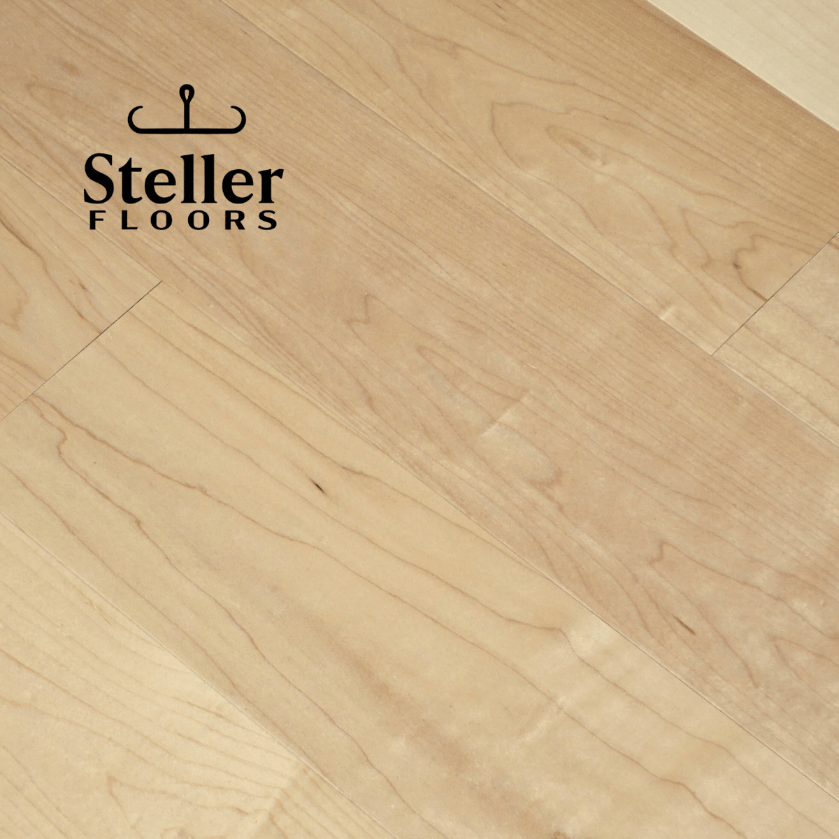 Tucson Hard Maple by Steller Floors