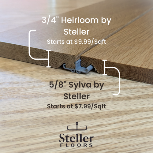 small steller image small steller image