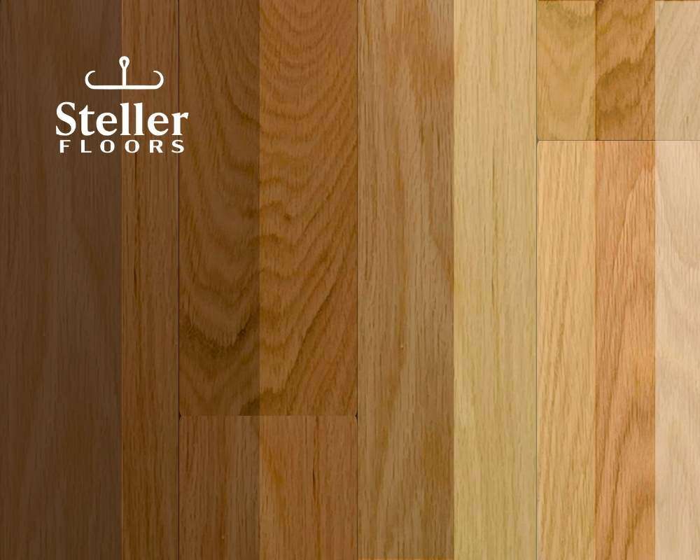 Color Scale American Oak by Steller