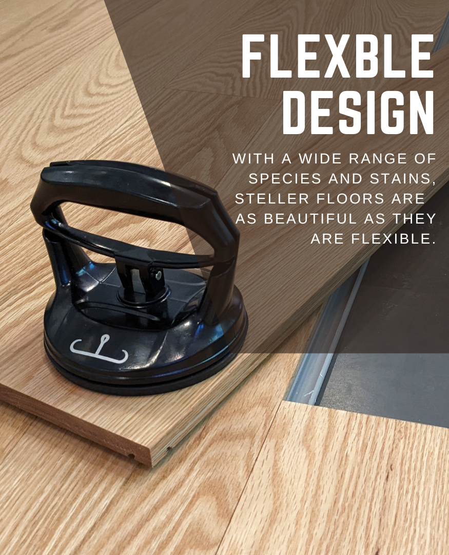 Steller 2024 - Flexible Design